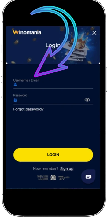 Winomania enter email
